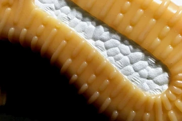 adidas-yeezy-boost-750-dark-grey-gum-1