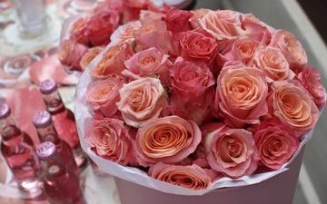 overkill-puma-careaux-recap-00