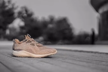 adidas-alphabounce-beige-3