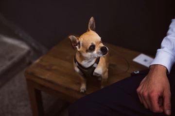 Summer Solemart 2017 - Photo Recap