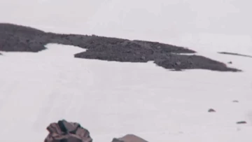 G-SHOCK x SANKUANZ - online now