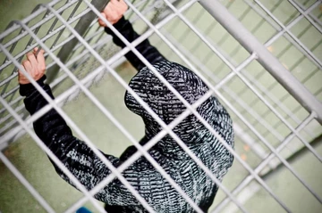 adidas Z.N.E Pulse Knit Hoodie