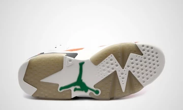 Nike Air Jordan VI Retro Gatorade