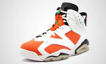 Nike Air Jordan VI Retro Gatorade