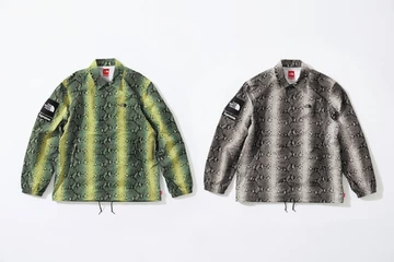 Supreme x The North Face Snake Print Collection