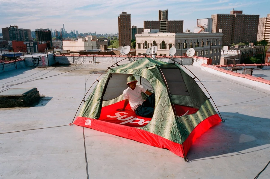 テント・タープ Supreme/The North Face Tent Supreme x The North Face Snake Print Collection | Dead Stock