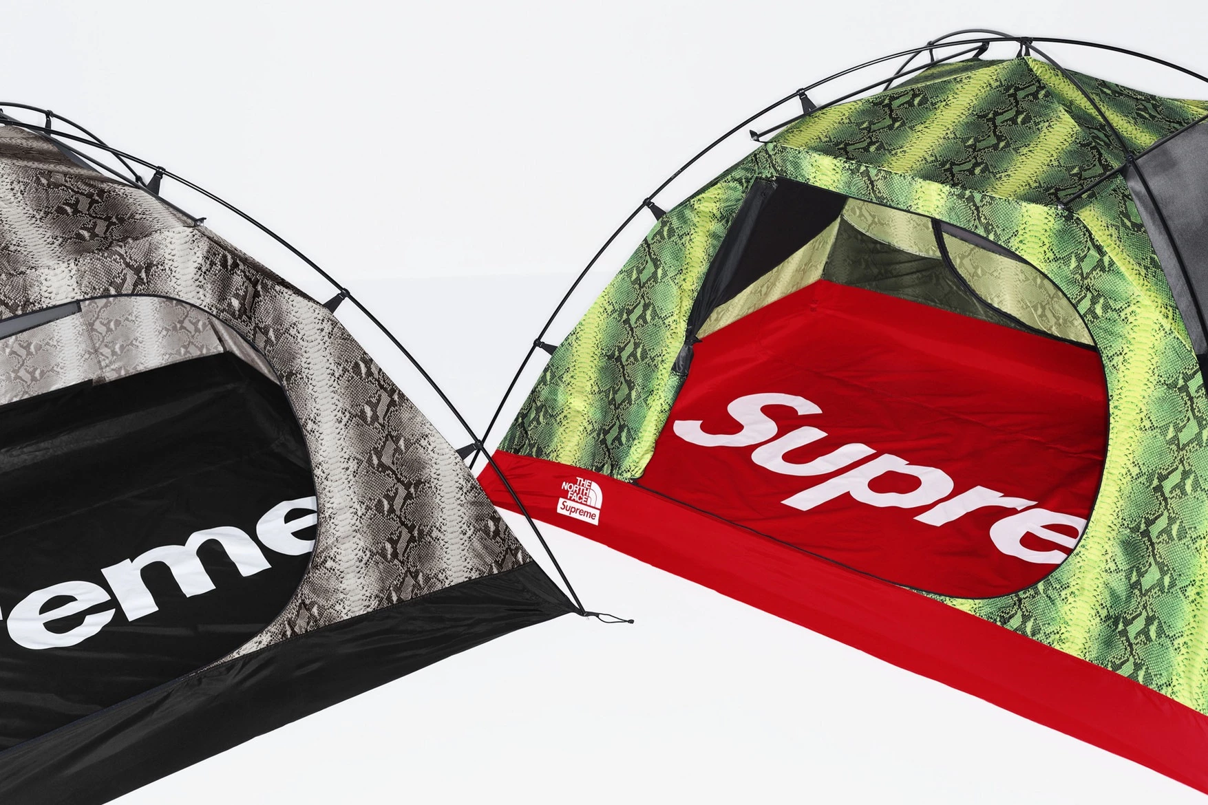 Supreme x The North Face Snake Print Collection Dead Stock