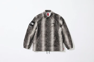 Supreme x The North Face Snake Print Collection