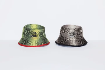 Supreme x The North Face Snake Print Collection