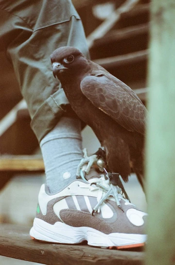 Solebox x adidas Yung 1