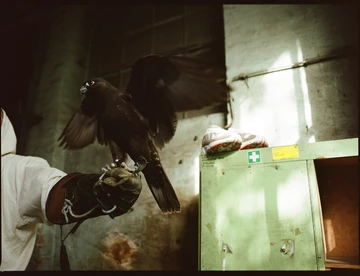 Solebox x adidas Yung 1