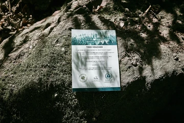 afew Store x KangaROOS Coil R1 Mighty Forest - alle Infos