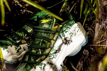 Reebok Classic & TGWO: Predator Upgrade Private Screening
