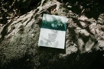 afew Store x KangaROOS Coil R1 Mighty Forest - alle Infos