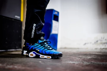 Nike Air Max TN OG - on feet