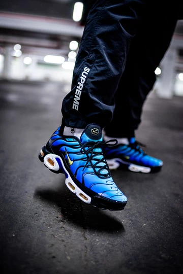 Nike Air Max TN OG - on feet