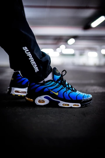 Nike Air Max TN OG - on feet