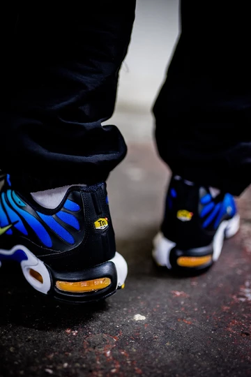Nike Air Max TN OG - on feet