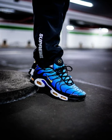 Nike Air Max TN OG - on feet