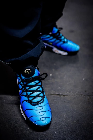 Nike Air Max TN OG - on feet