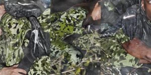 Nike - MATTHEW WILLIAMS launches new collection