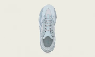 adidas Yeezy Boost 700 Inertia