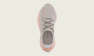adidas Yeezy Boost 350 V2 True Form