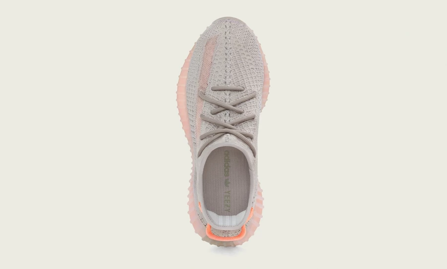 adidas Yeezy Boost 350 V2 True Form EG7492 Dead Stock