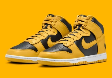 Nike Dunk Wu Tang schräg frontal