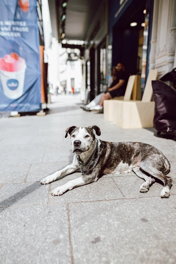 adidas Home Of Classics - zu Besuch in Paris
