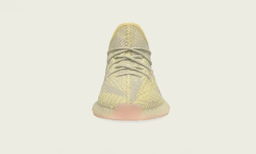 adidas Yeezy Boost 350 V2 Antlia