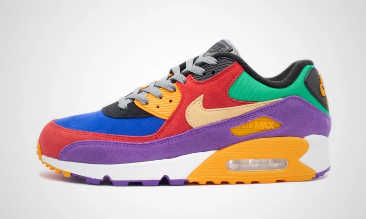 Nike Air Max 90 Viotech  Multi