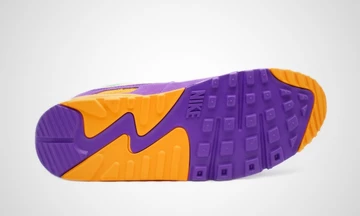 Nike Air Max 90 Viotech Multi