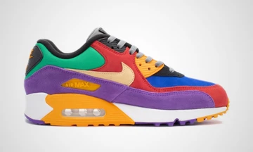 Nike Air Max 90 Viotech Multi