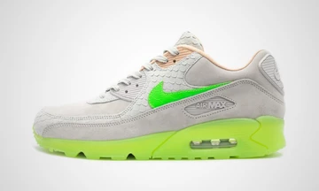 Nike Air Max 90 New Species