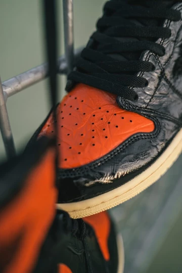Air Jordan 1 Shattered Backboard 3.0 - on feet