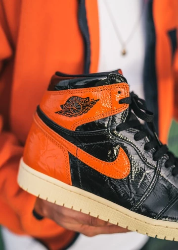 Air Jordan 1 Shattered Backboard 3.0 - on feet