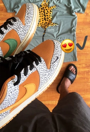 atmos x Nike SB Dunk Safari- Teaser