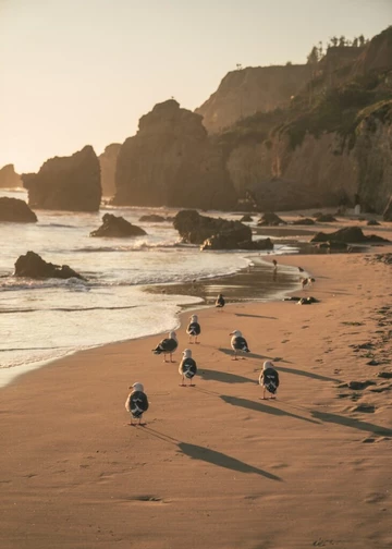 With the Puma Future Rider in Malibu