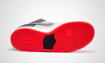 Nike SB Dunk Infrared