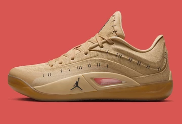 Air Jordan Zion 4 Voodoo Außenseite