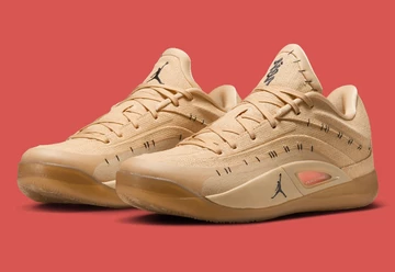 Air Jordan Zion 4 Voodoo schräg