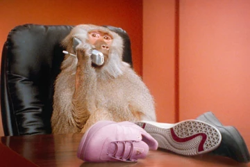 Palace x adidas skateboarding sneaker teaser