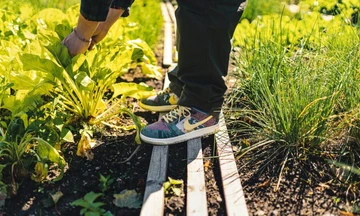 Nike Dunk Low Community Garden