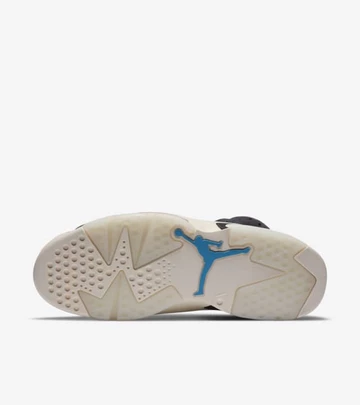 Nike Air Jordan 6 Tech Chrome