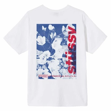 New Stüssy Drop at Zupport