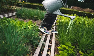 Nike Dunk Low Community Garden