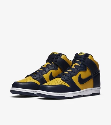 Nike Dunk High Michigan