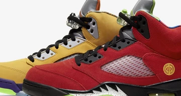 Nike Air Jordan 5 What The