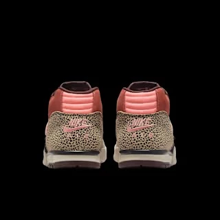 Arts-Rec x Nike SB Air Trainer 1 Limestone